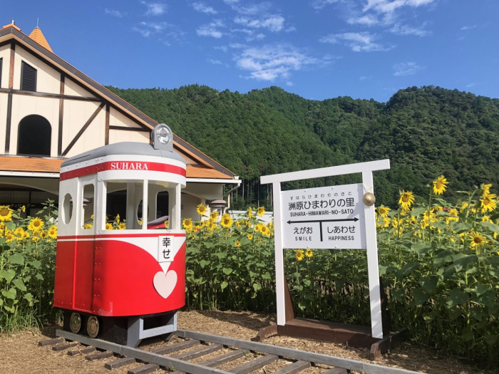 洲原ひまわりの里