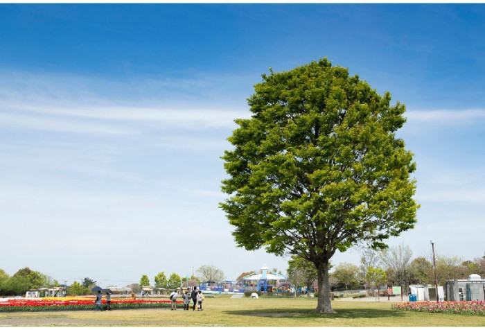 国営木曽三川公園 木曽三川公園センター