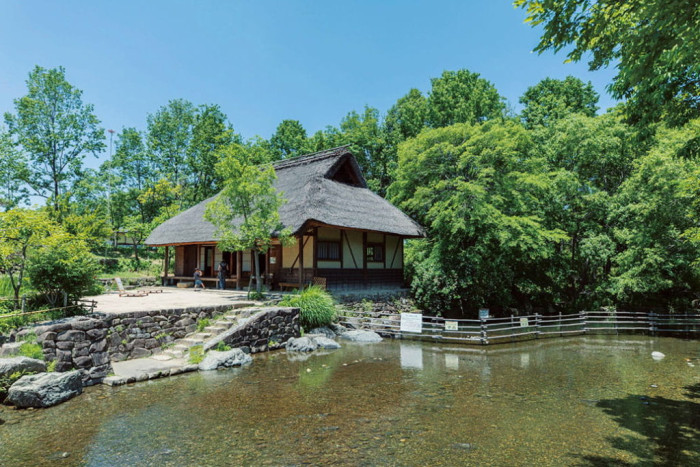 オアシスパーク