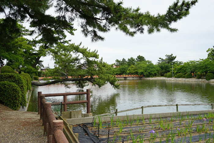 九華公園