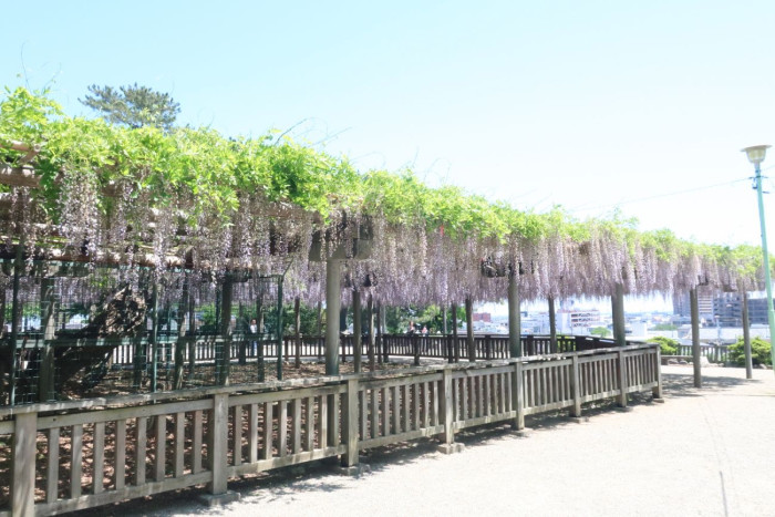 松阪公園(松坂城跡)