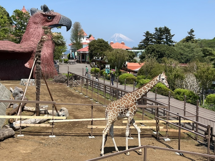 伊豆シャボテン動物公園