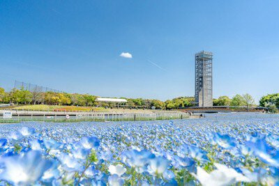 浜名湖ガーデンパーク
