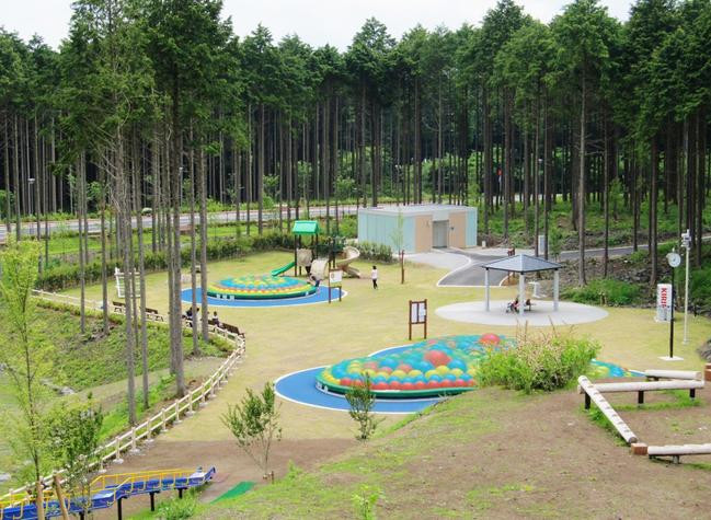 富士山 樹空の森