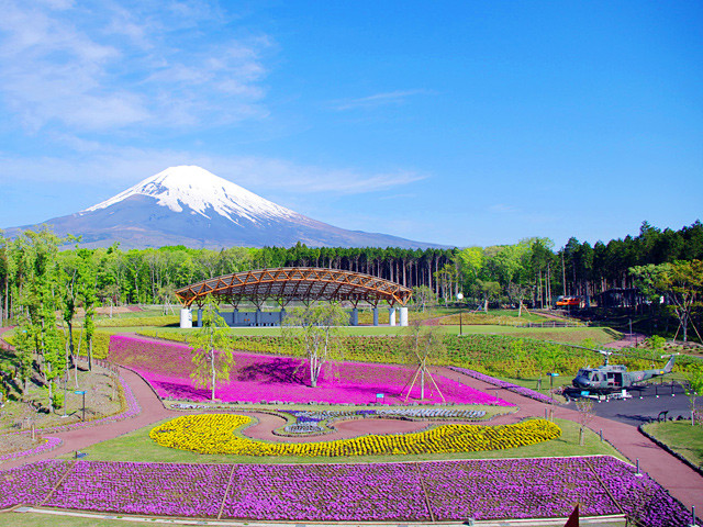富士山 樹空の森