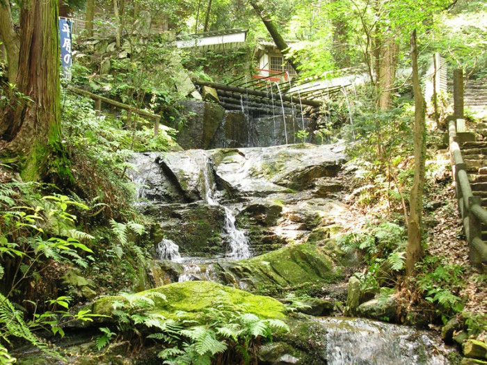 平原ゲンジボタルの里