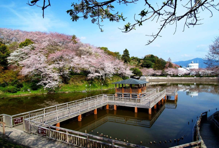 清水船越堤公園