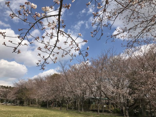 八ツ面山公園
