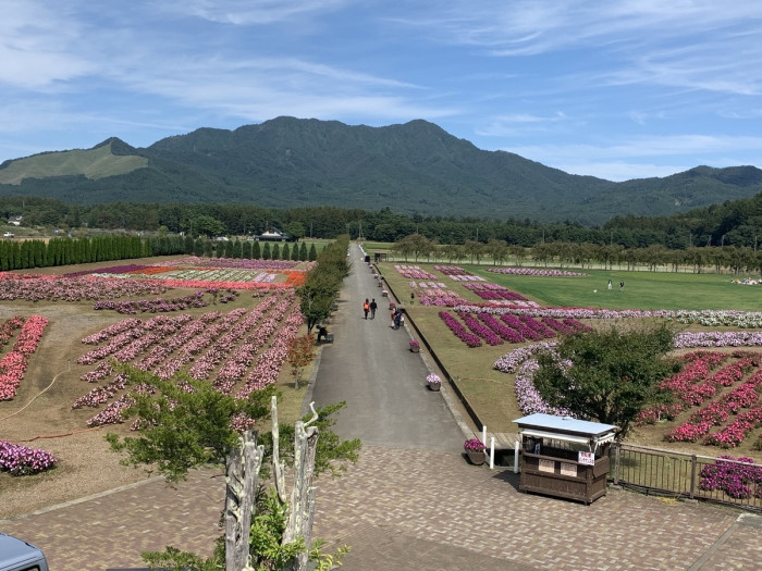 山中湖 花の都公園