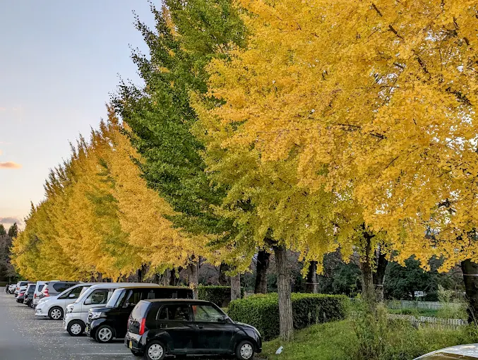 小瀬スポーツ公園