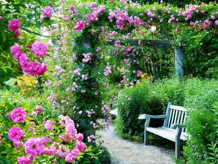 蓼科高原 バラクラ イングリッシュ ガーデン