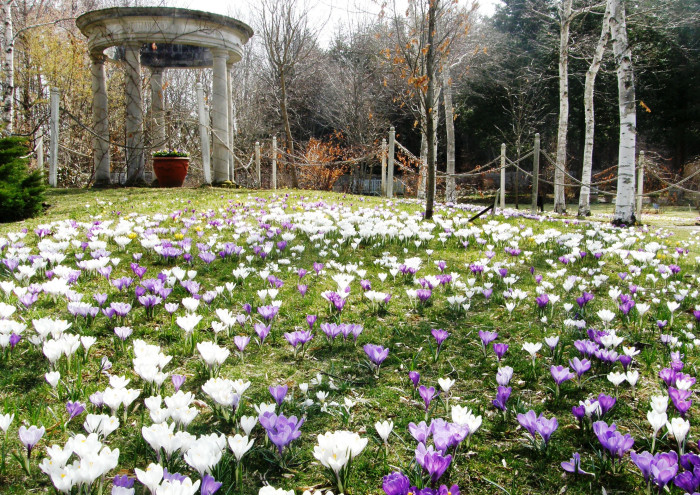 蓼科高原 バラクラ イングリッシュ ガーデン