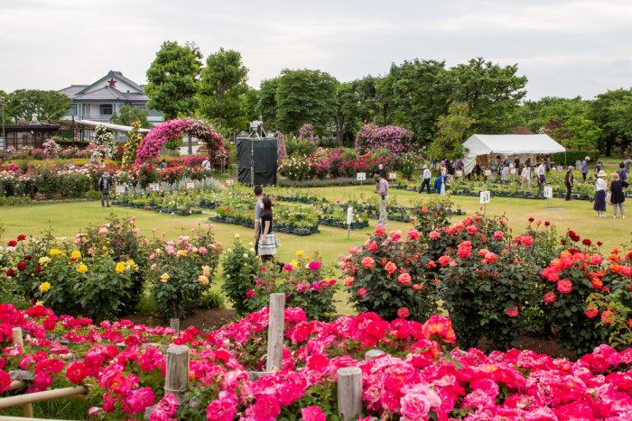中野市 一本木公園