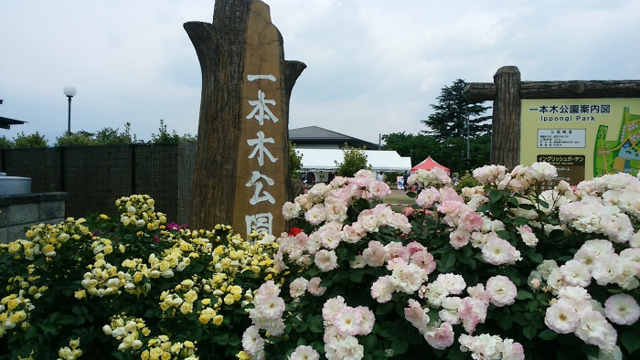 中野市 一本木公園