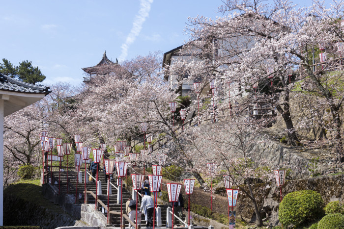 丸岡城(霞ヶ城公園)