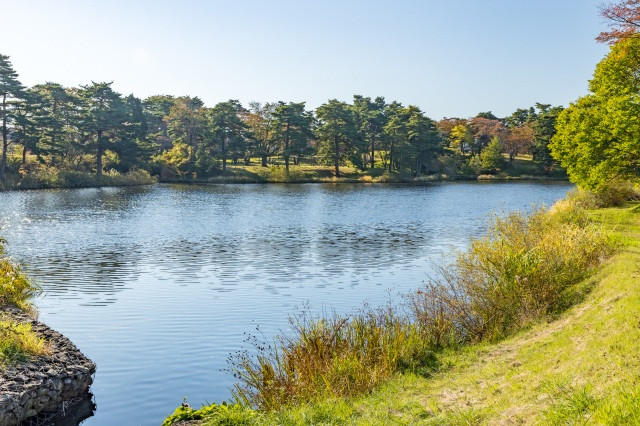 舘野公園