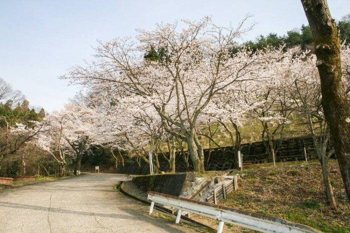 芦山公園