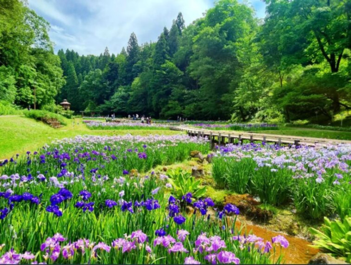 しらさぎ森林公園