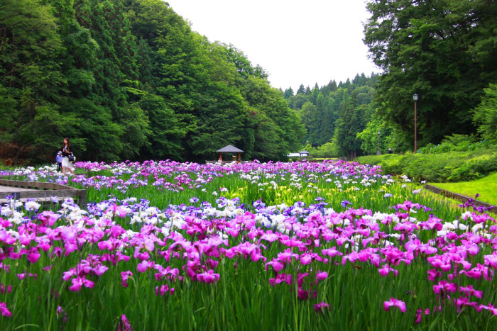 しらさぎ森林公園