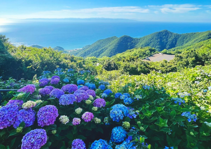 弥彦山 山頂公園