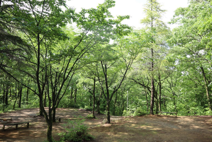 大崎山公園