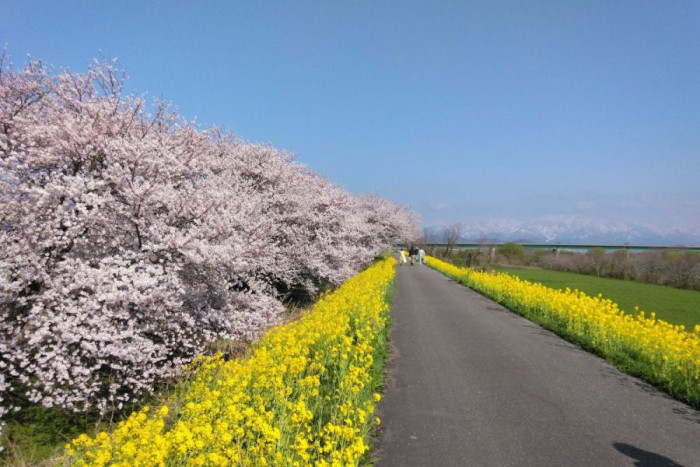 加治川治水記念公園