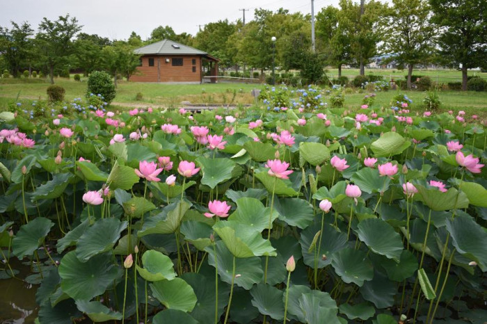 五泉市東公園