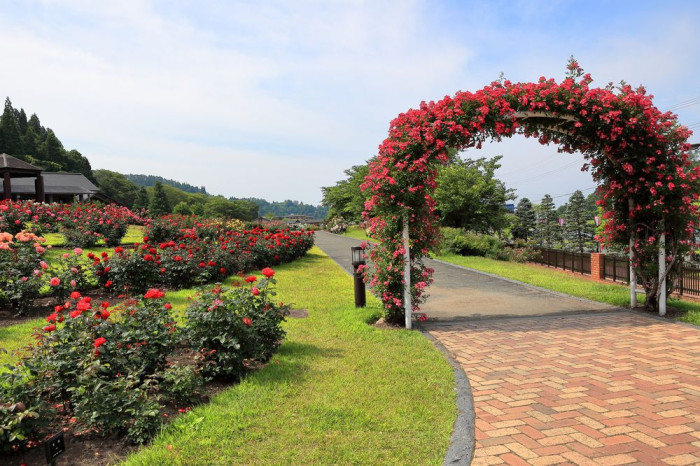 東沢公園(東沢バラ公園)