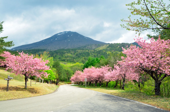 福島県 昭和の森