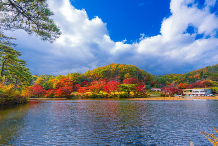 花と歴史の郷 蛇の鼻