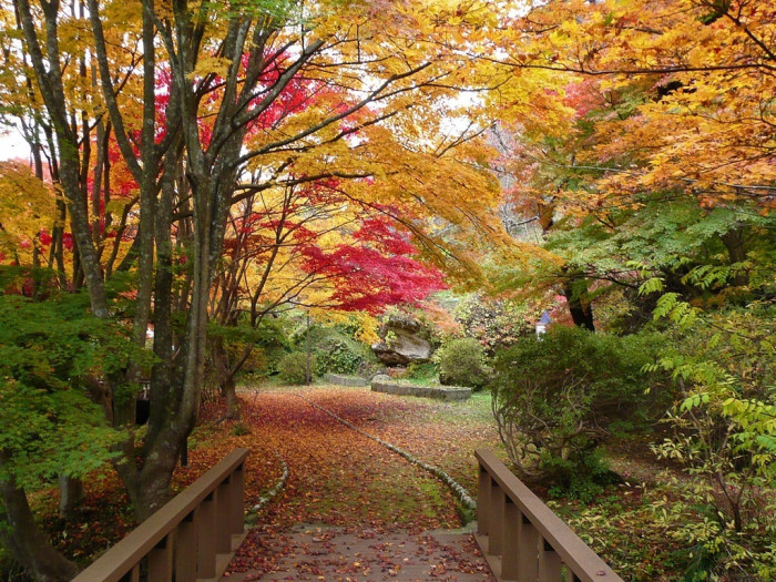 きみまち阪県立自然公園