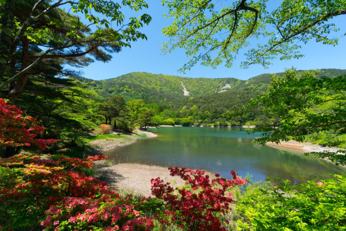 半田山自然公園