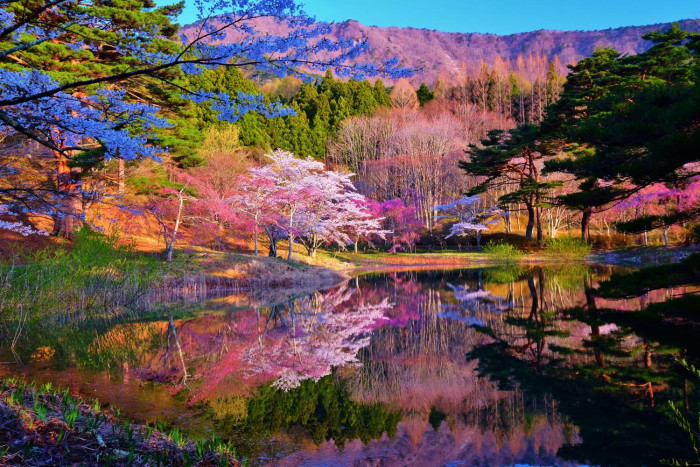 半田山自然公園