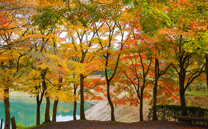 半田山自然公園