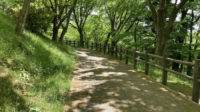 弁天山公園