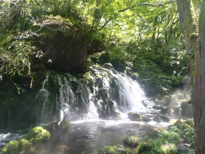 大森公園