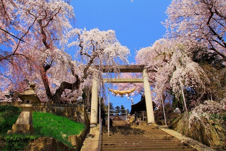 烏帽子山公園