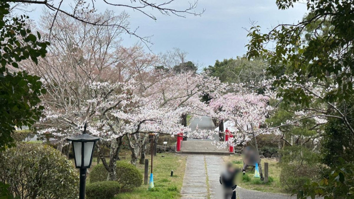 涌谷町城山公園
