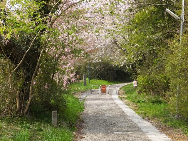 県立自然公園旭山