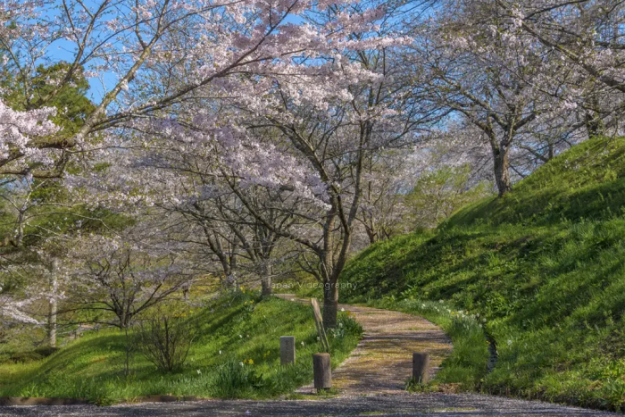 松山御本丸公園