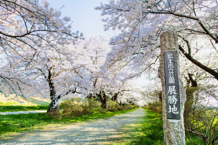 北上市立公園展勝地