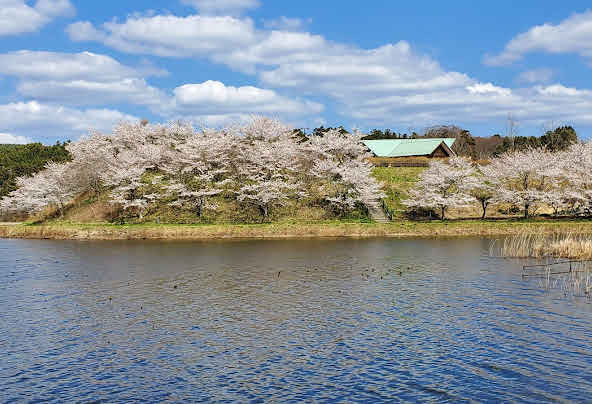 平筒沼ふれあい公園