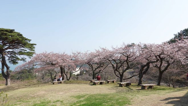 松島(西行戻しの松公園)