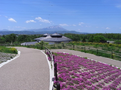 中央公園