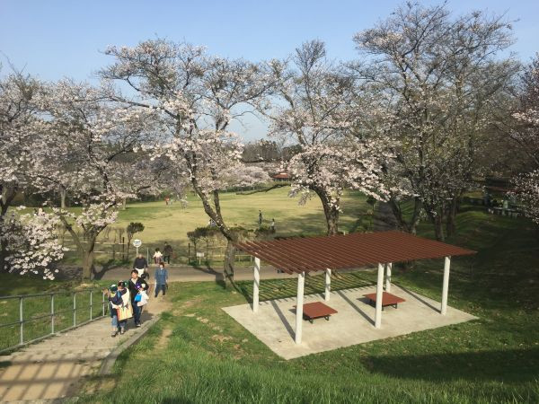 大森山公園