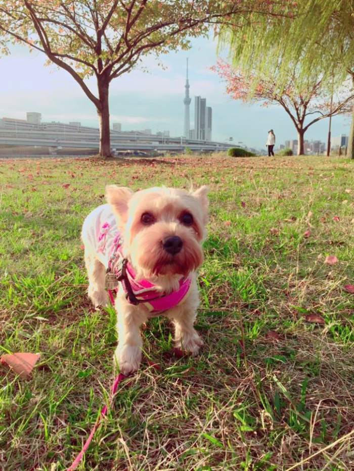 汐入公園