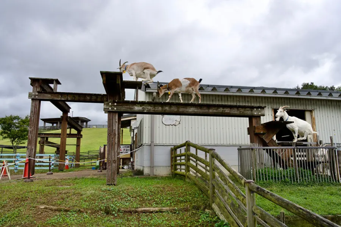 うだ・アニマルパーク
