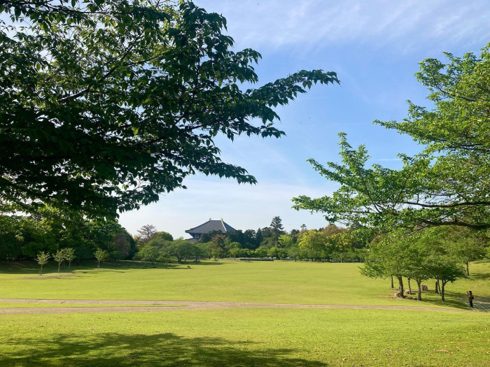 奈良公園