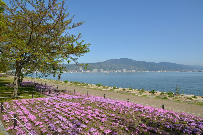 大津湖岸なぎさ公園