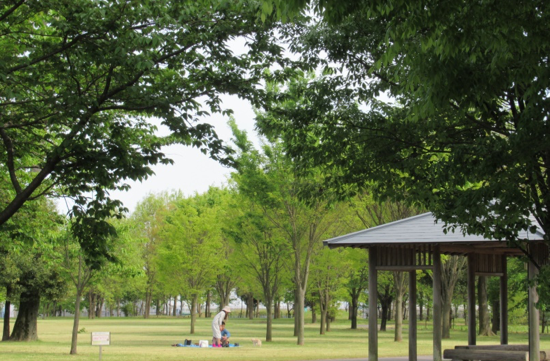 滋賀県営都市公園湖岸緑地(湖東湖北地域・南湖東岸地域)
